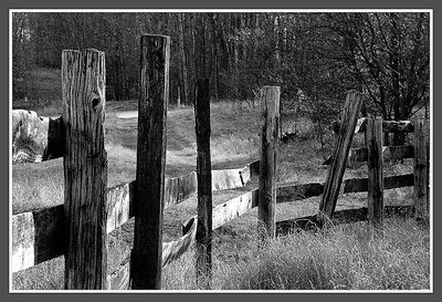 The Fence, 2003