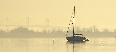 Annapolis Dawn