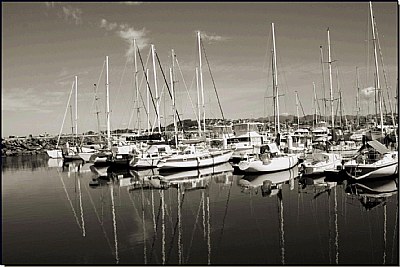 Boat Harbour