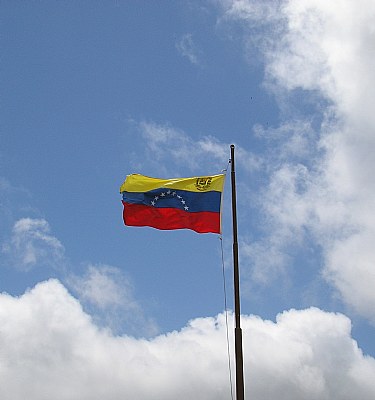 Mi Bandera/My Flag