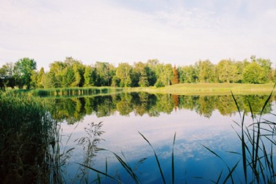 Serenity