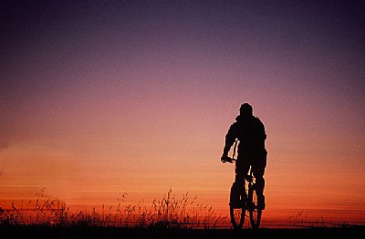 Evening Ride