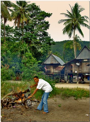 In Malaysian Village