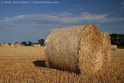 Hay Bales