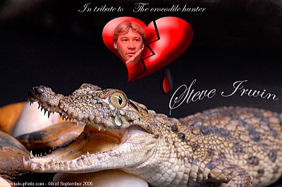 In tribute to The crocodile hunter