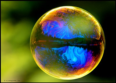 World in a Bubble