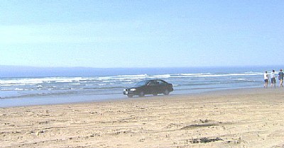 Cruisin The Beach