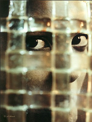 Glass Bars