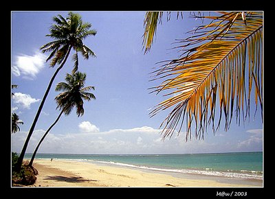 Tamandaré beach