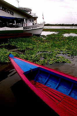 On the River