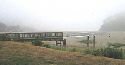 Neskowin Fog