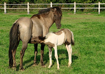 Mum and I