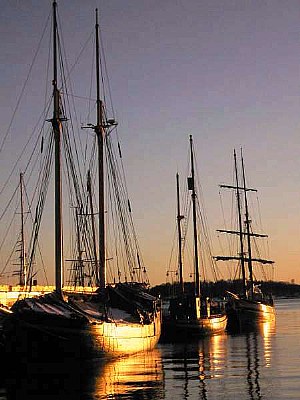 Sunset II