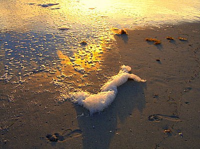 Footsteps On The Beach