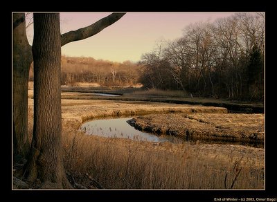 End of Winter