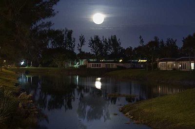 Night Moon on the Canal