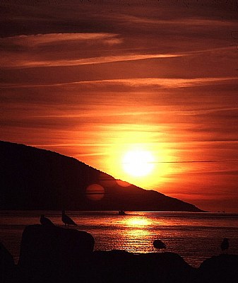 Dingwel Harbour sunset