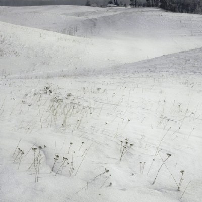 rolling landscape