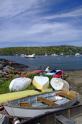 Painting the Harbor