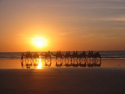sunset camel ride