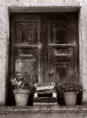 Old window with vases