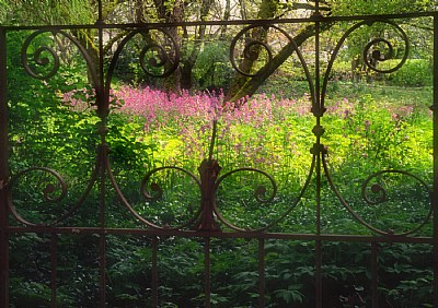 Wrought Iron Fence