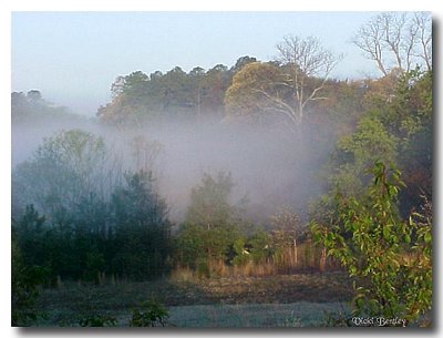 Fog Burnoff