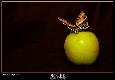 Apple with Butterfly