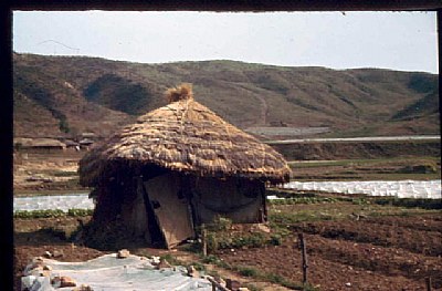 1967,Korea,Banjo
