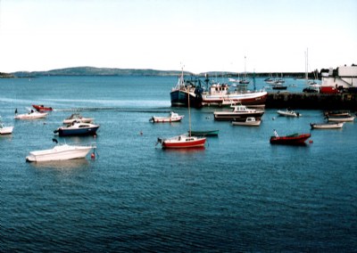 Schull Harbour 3