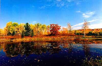 Ontario Autumn