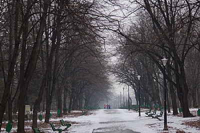 Park in Winter