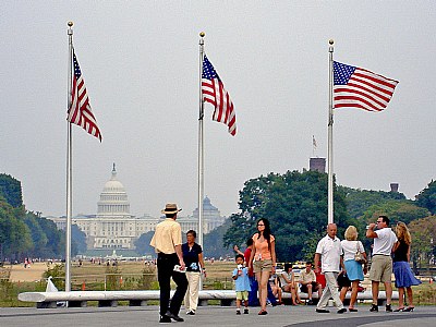 Flags in the Capitol