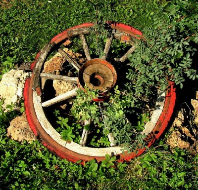 Old Wheel