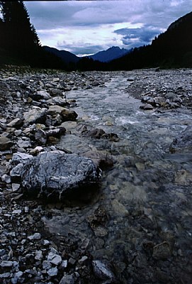 Mountain Stream