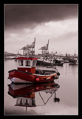 Calm Reflection