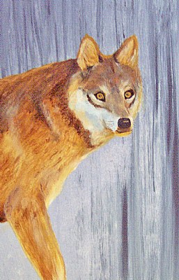 painting of mamma wolf