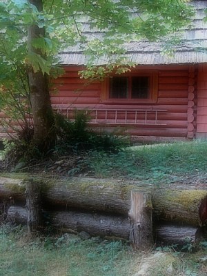 Little Cabin in the Cascades