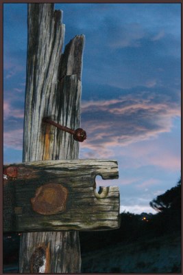 Groynes- Weathered #7