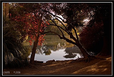 PEACEFUL LAGOON