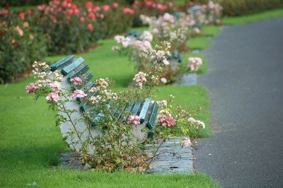 Bench