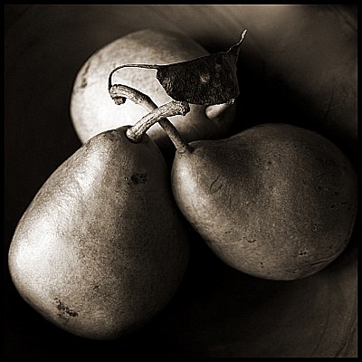 Pears