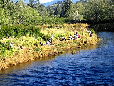 Salmon Positions