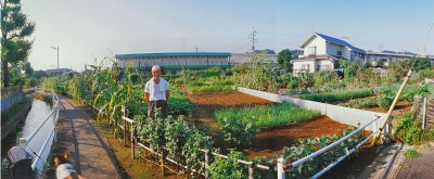 Market Gardener