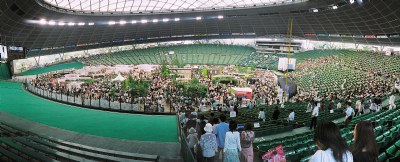 Flower Show in Stadium