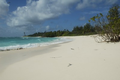 bird island