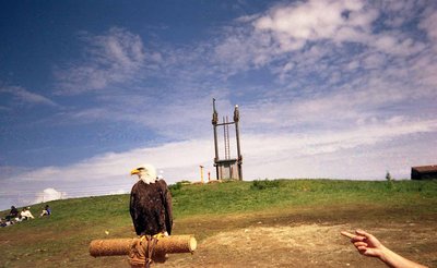 Vancouver Hawk