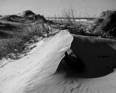 Long Shadows B&W