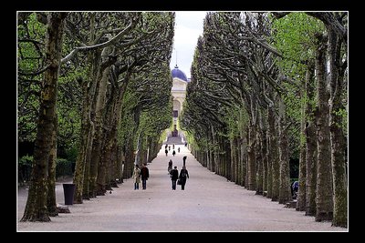 Spring alley