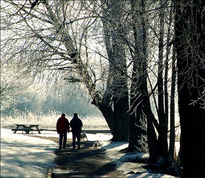 Frost on Sunday 5/1/03